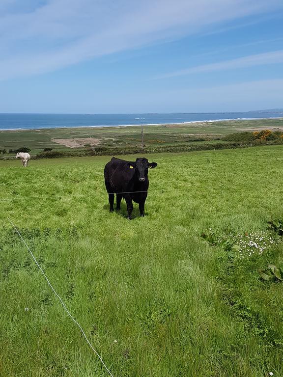 Fort Farmhouse B&B Castlegregory Exterior foto