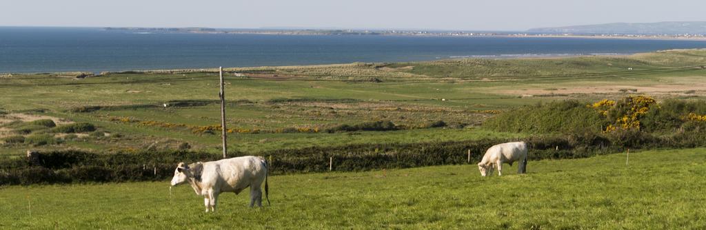 Fort Farmhouse B&B Castlegregory Exterior foto