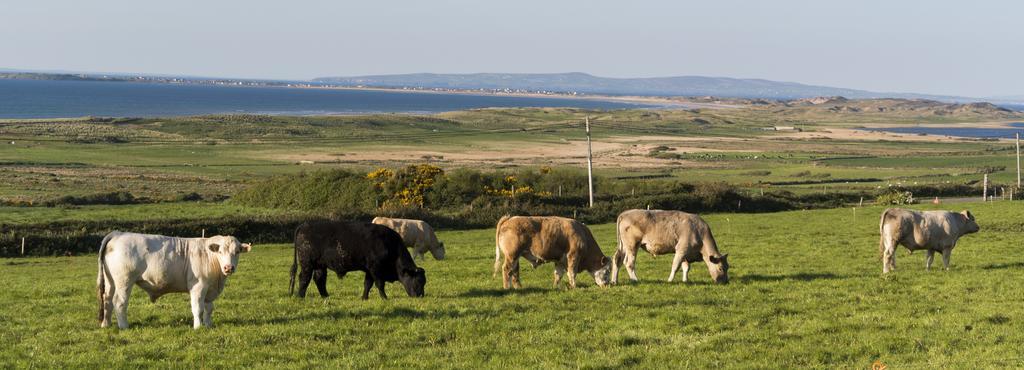 Fort Farmhouse B&B Castlegregory Exterior foto