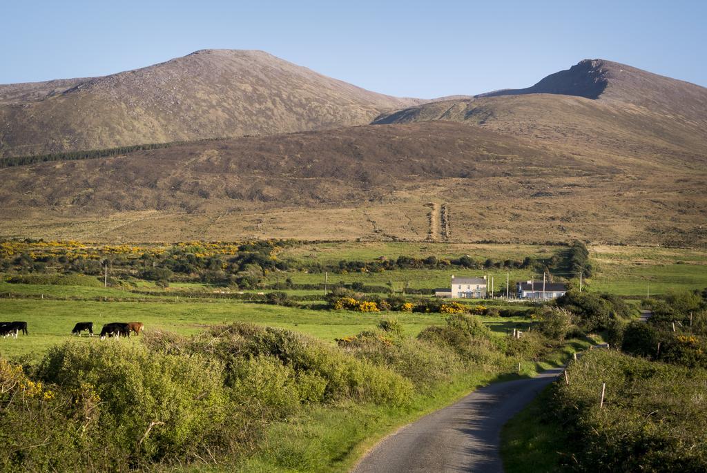 Fort Farmhouse B&B Castlegregory Exterior foto